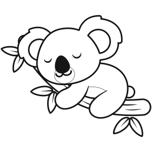 Koala bear