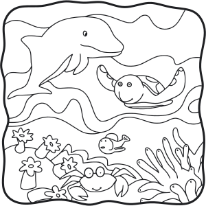 Turtle and dolphin